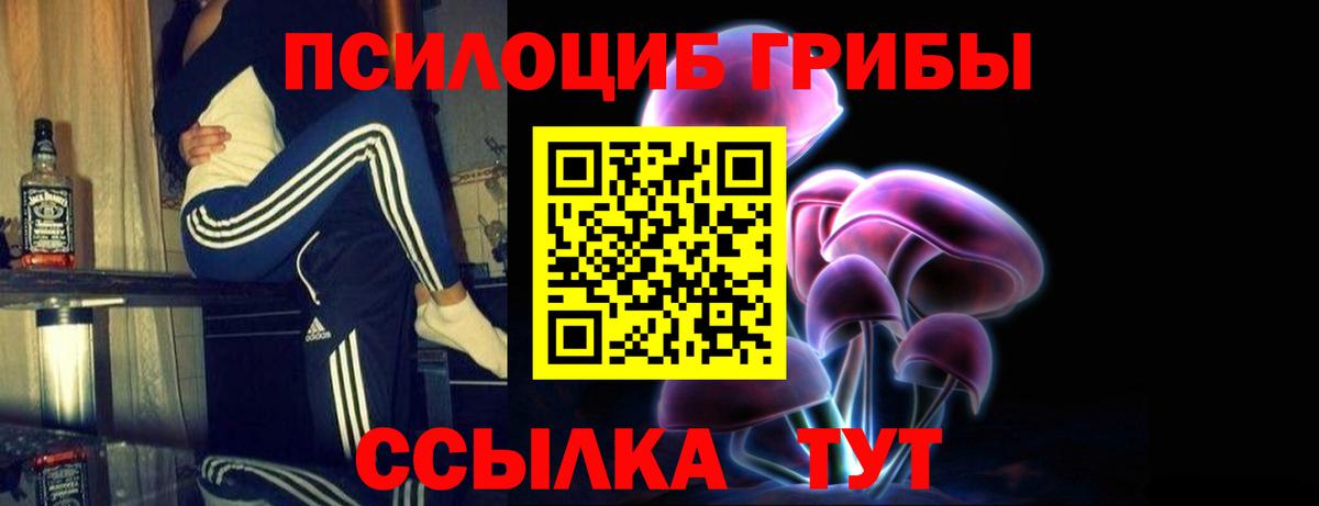 Галлюциногенные грибы GOLDEN TEACHER Лысьва